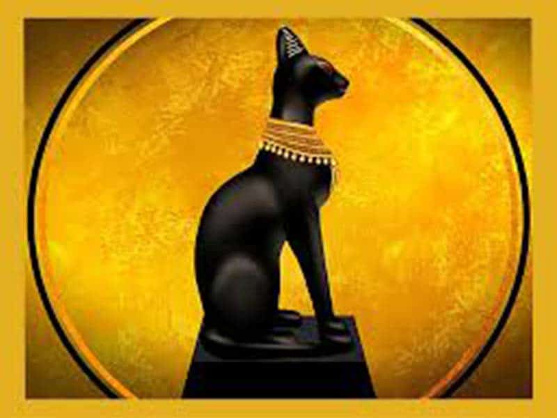 El gato, animal de culto en el antiguo Egipto