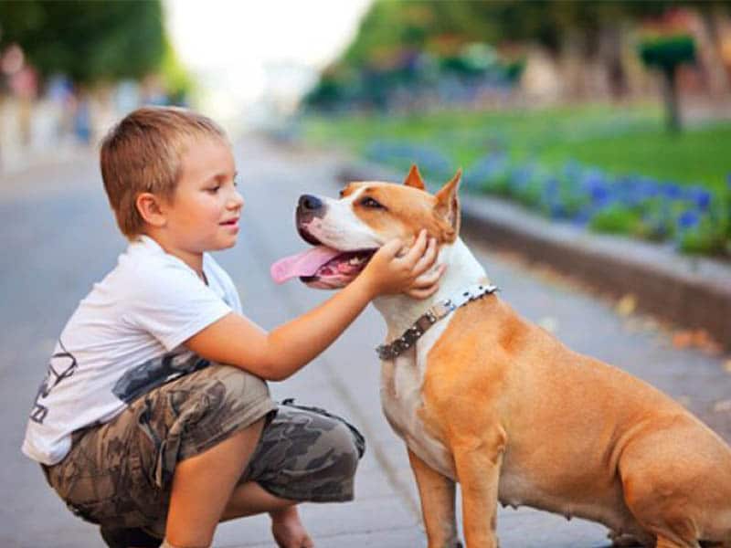 Beneficios del vínculo afectivo entre niños y mascotas
