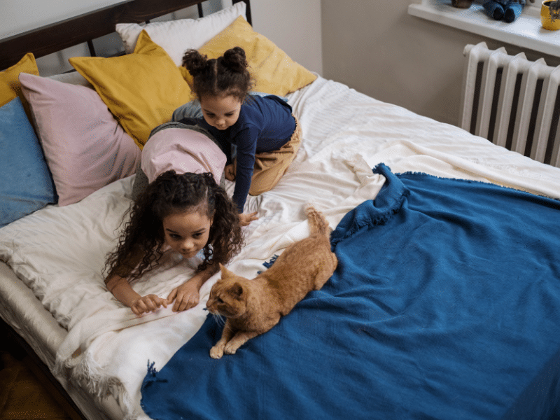 Beneficios de la convivencia entre los gatos y los niños