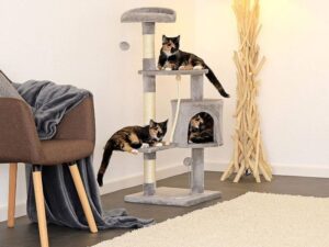 Tips para crear espacios más entretenidos a tu gato dentro del hogar