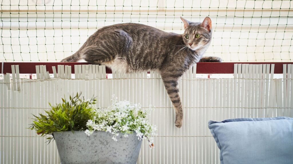 ¿Para qué instalar mallas de seguridad para ventanas y balcones?