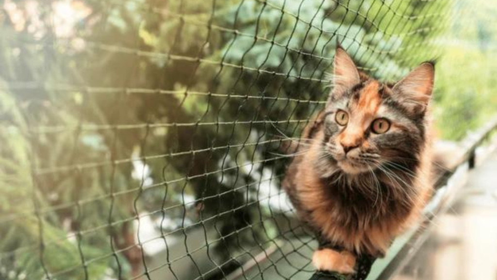 Protegge a tus Gatos y Niños: La Importancia de las Mallas de Seguridad en Ventanas y Balcones