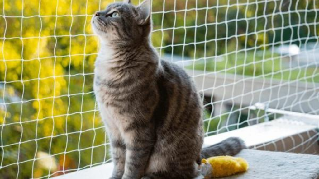 Cómo Evitar Accidentes con Gatos y Niños mediante Mallas de seguridad