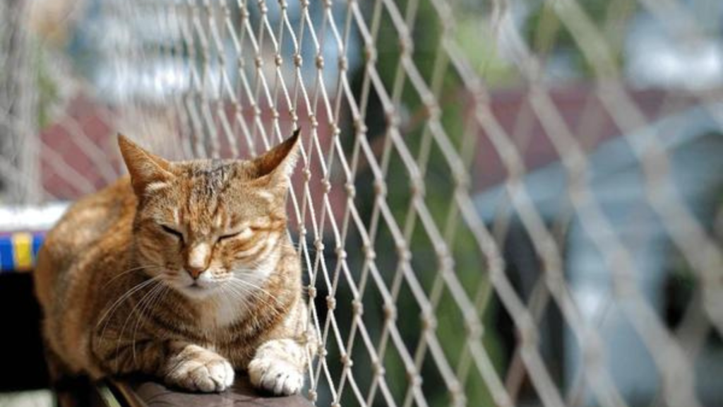 Cómo las Mallas de Seguridad pueden Salvar la Vida de tus Mascotas