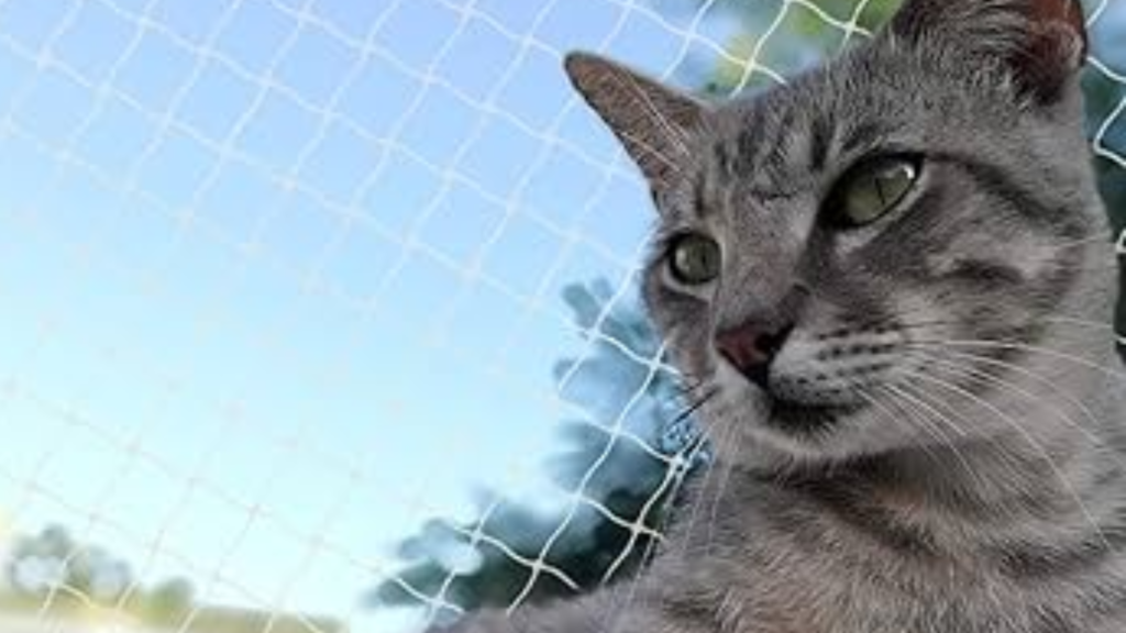 Consejos para asegurar tu balcón contra caídas de gatos