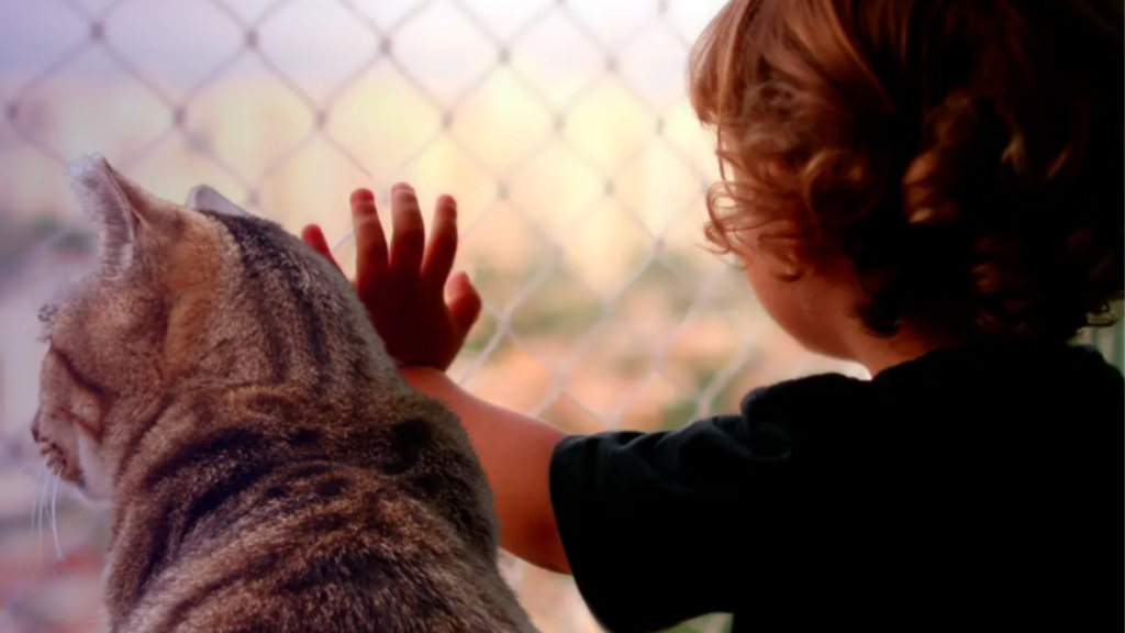 ¿Sabías qué...? Curiosidades sobre las mallas de seguridad para niños y gatos