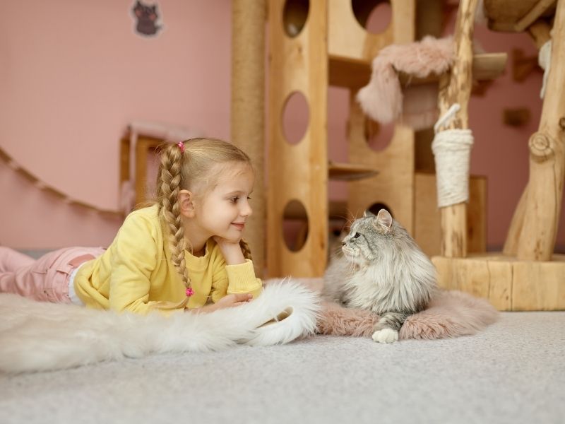 Supervisión vs. protección estructural qué es más importante