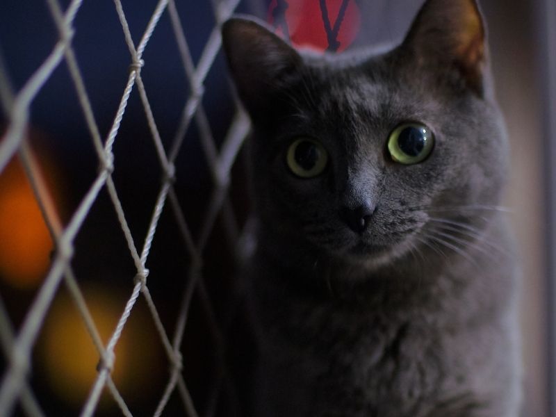 ¿Es legal instalar mallas de seguridad en apartamentos de Colombia? Protegge Mallas de Seguridad