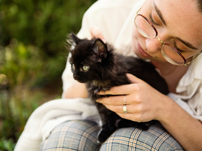 Mallas para gatos recién adoptados: Lo que debes saber
